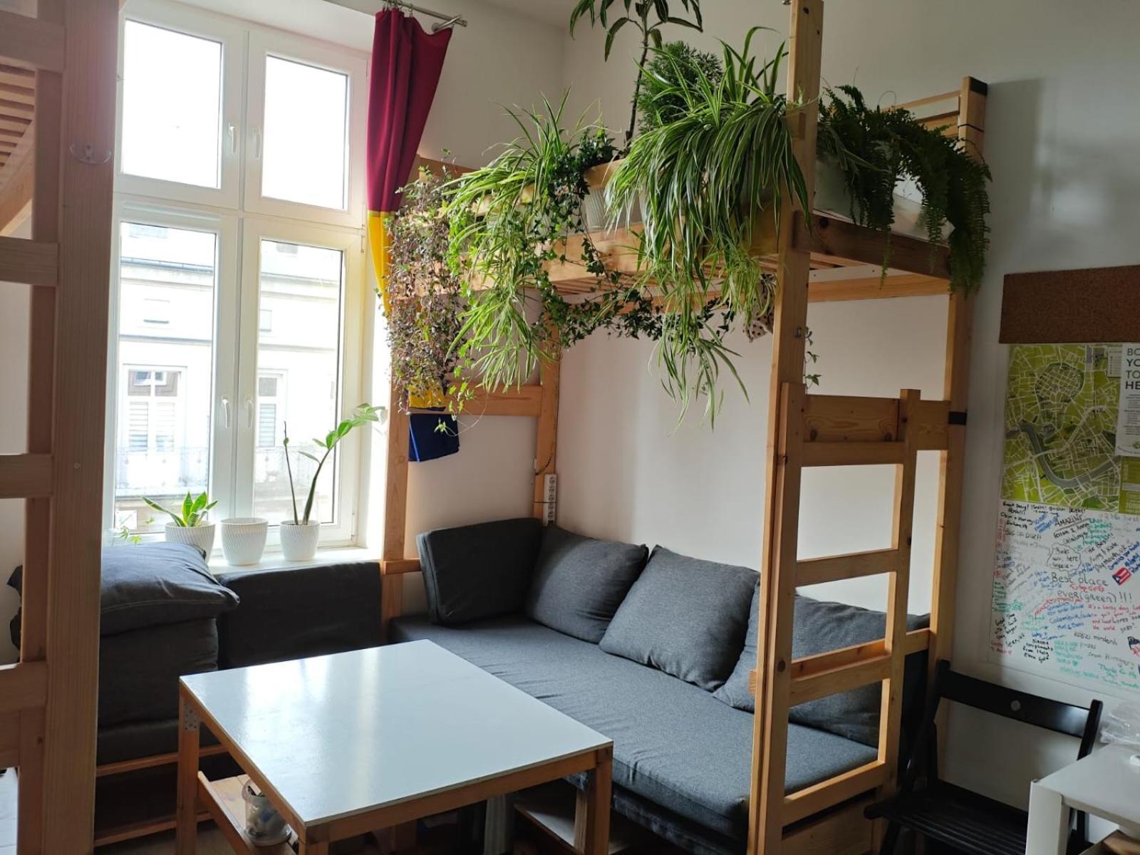 Evergreen Hostel Cracovia Exterior foto